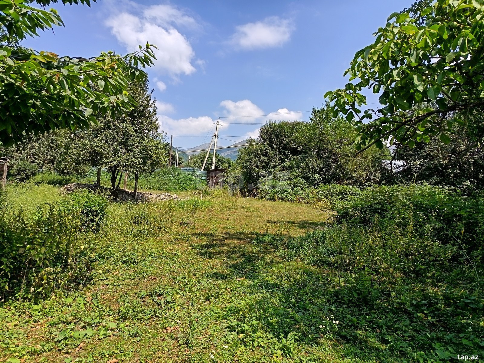 Land for sale, Ismayilli, Ismayilli