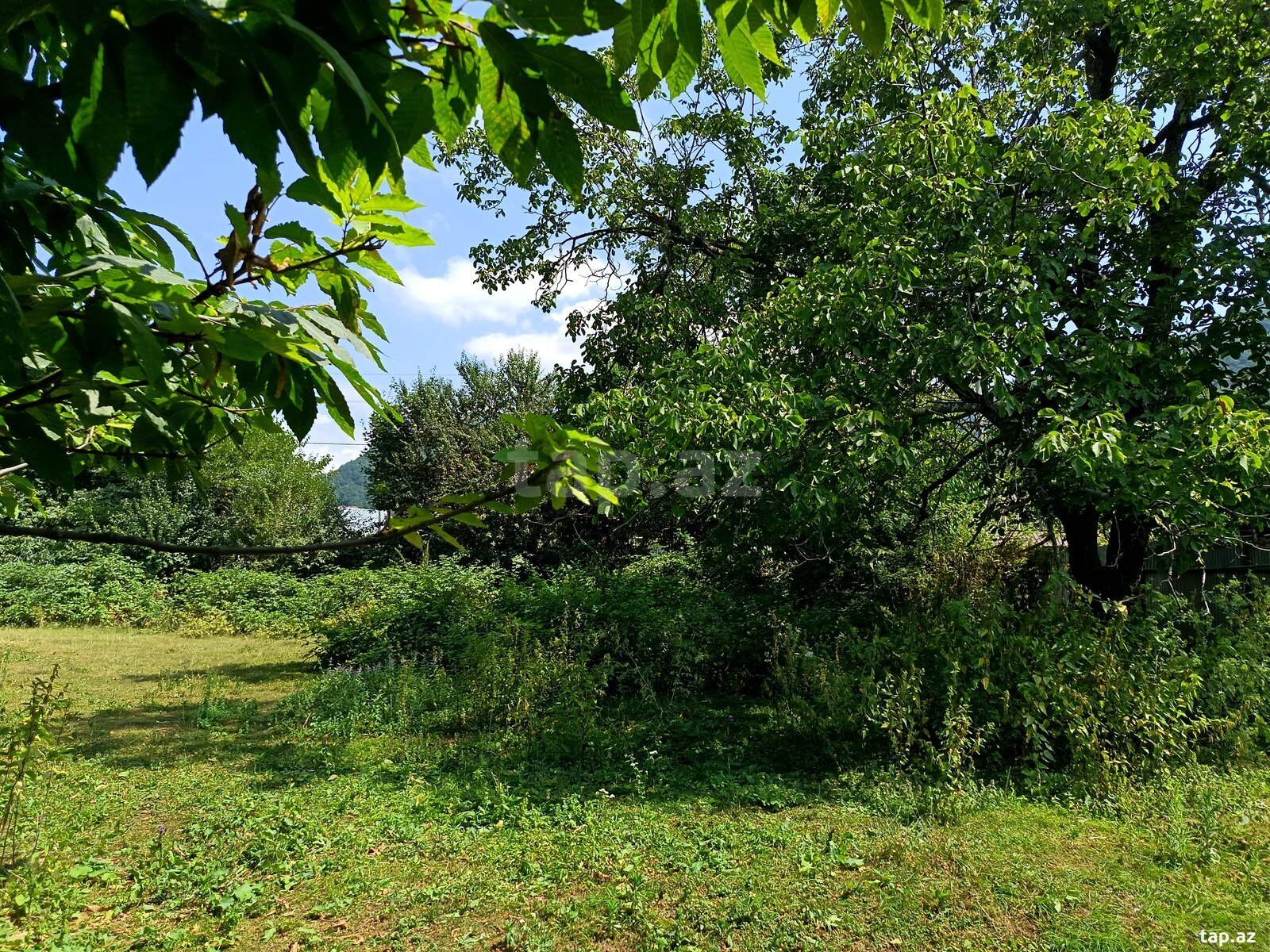 Land for sale, Ismayilli, Ismayilli