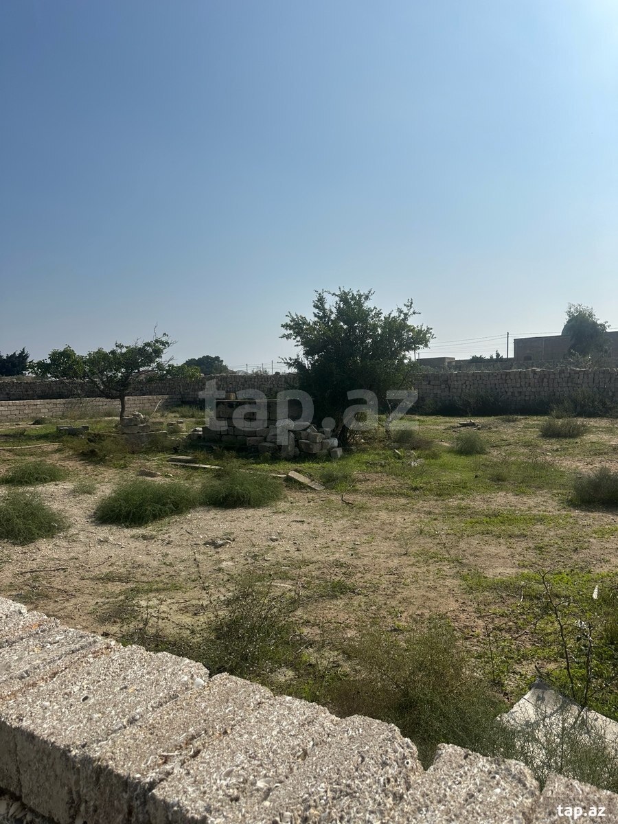 Torpaq satılır, Türkan, Bakı