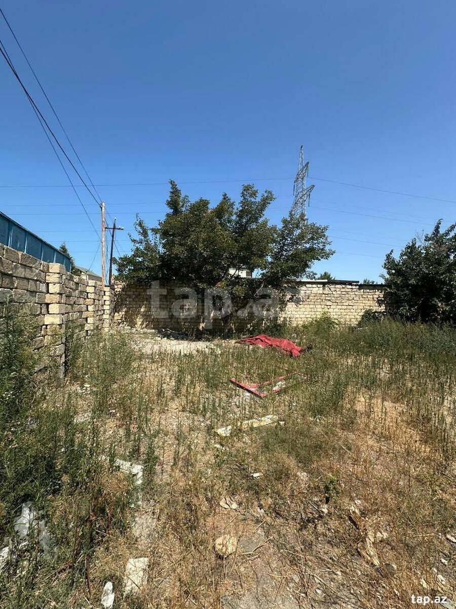 Torpaq satılır, Salyan, Salyan