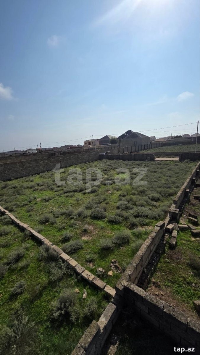 Torpaq satılır, Türkan, Bakı