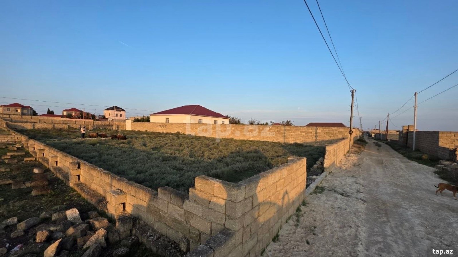 Torpaq satılır, Türkan, Bakı