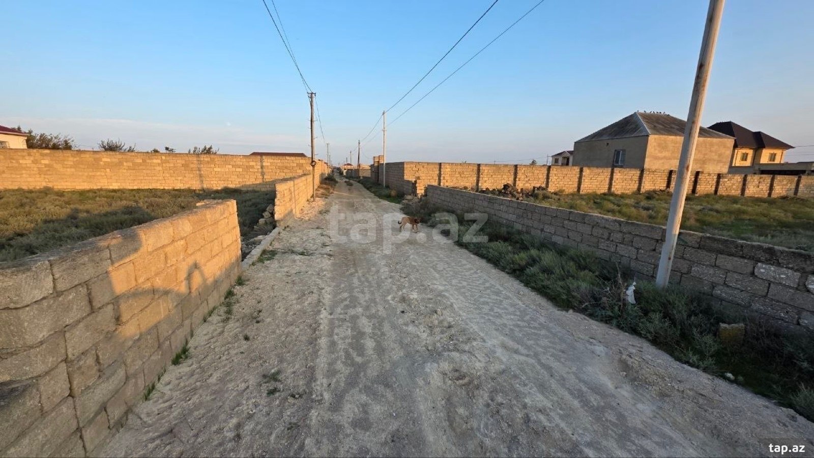 Torpaq satılır, Türkan, Bakı