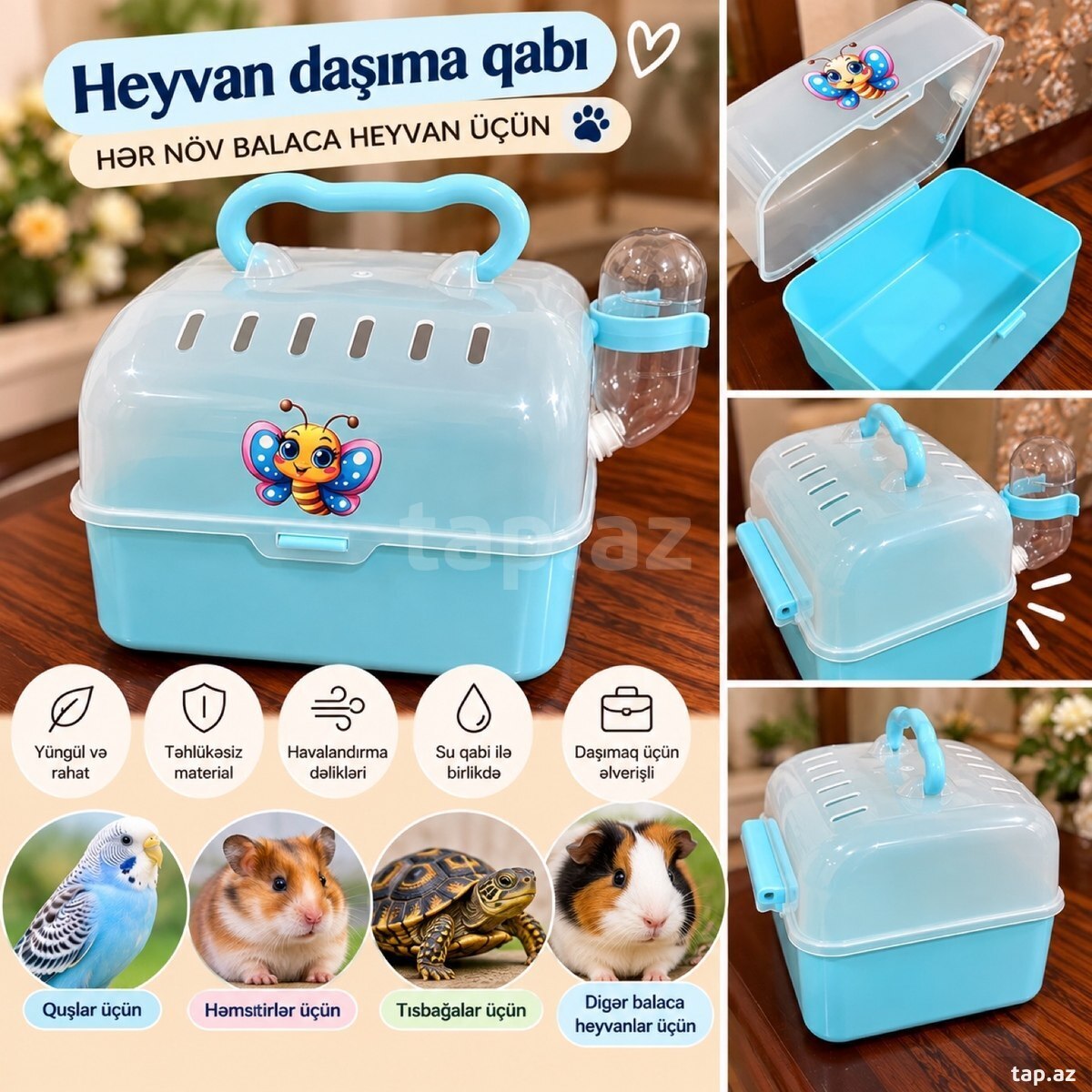 Daşıma konteyneri