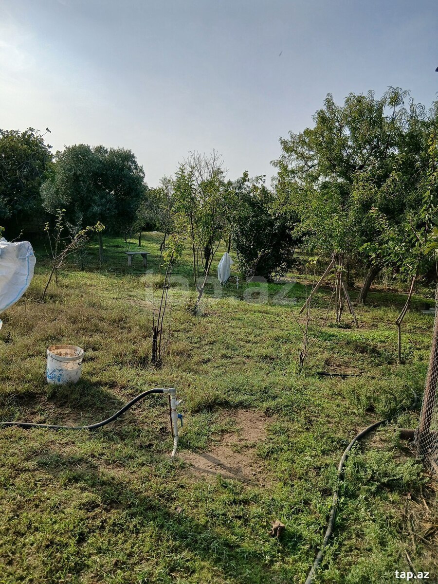 Land for sale, Buzovna, Baku