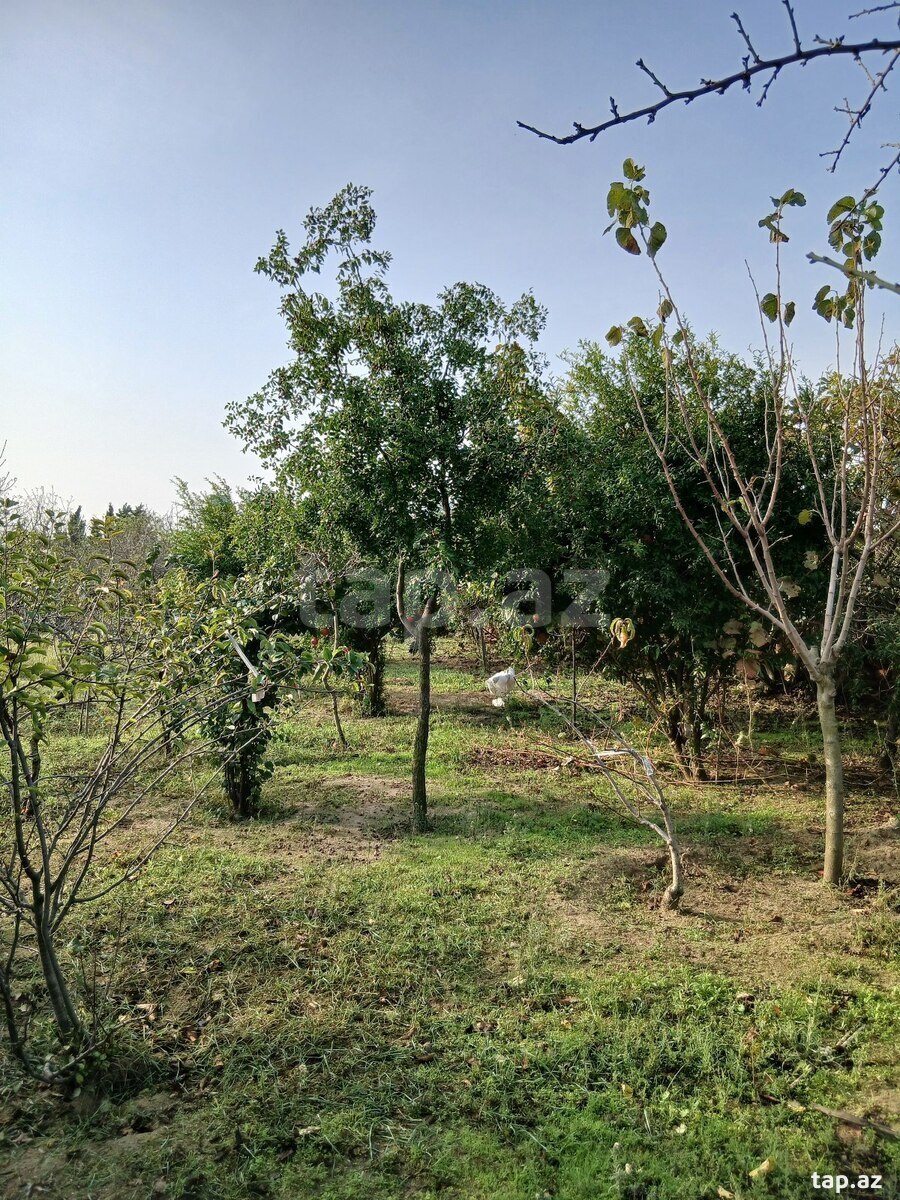 Land for sale, Buzovna, Baku