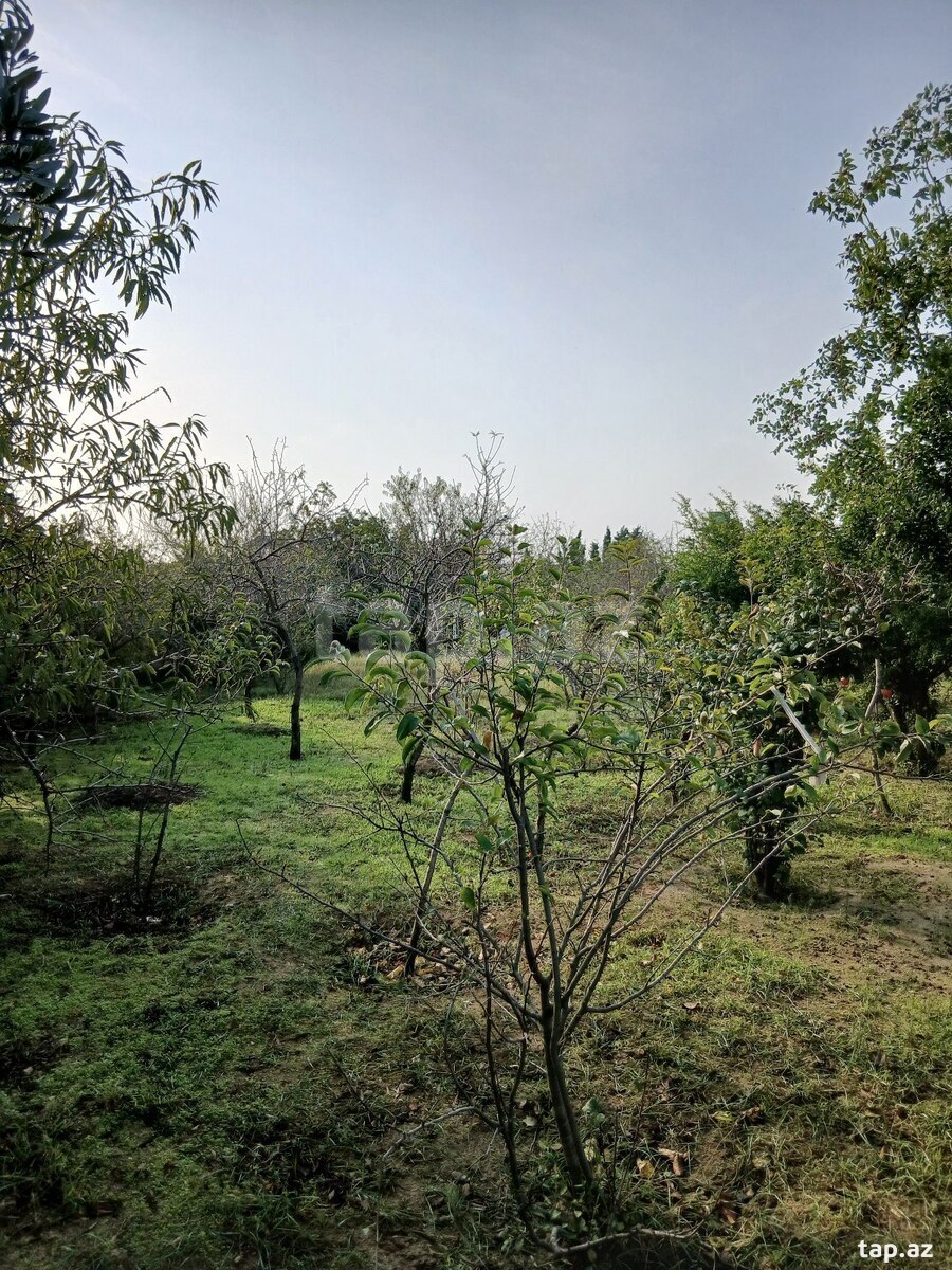 Land for sale, Buzovna, Baku