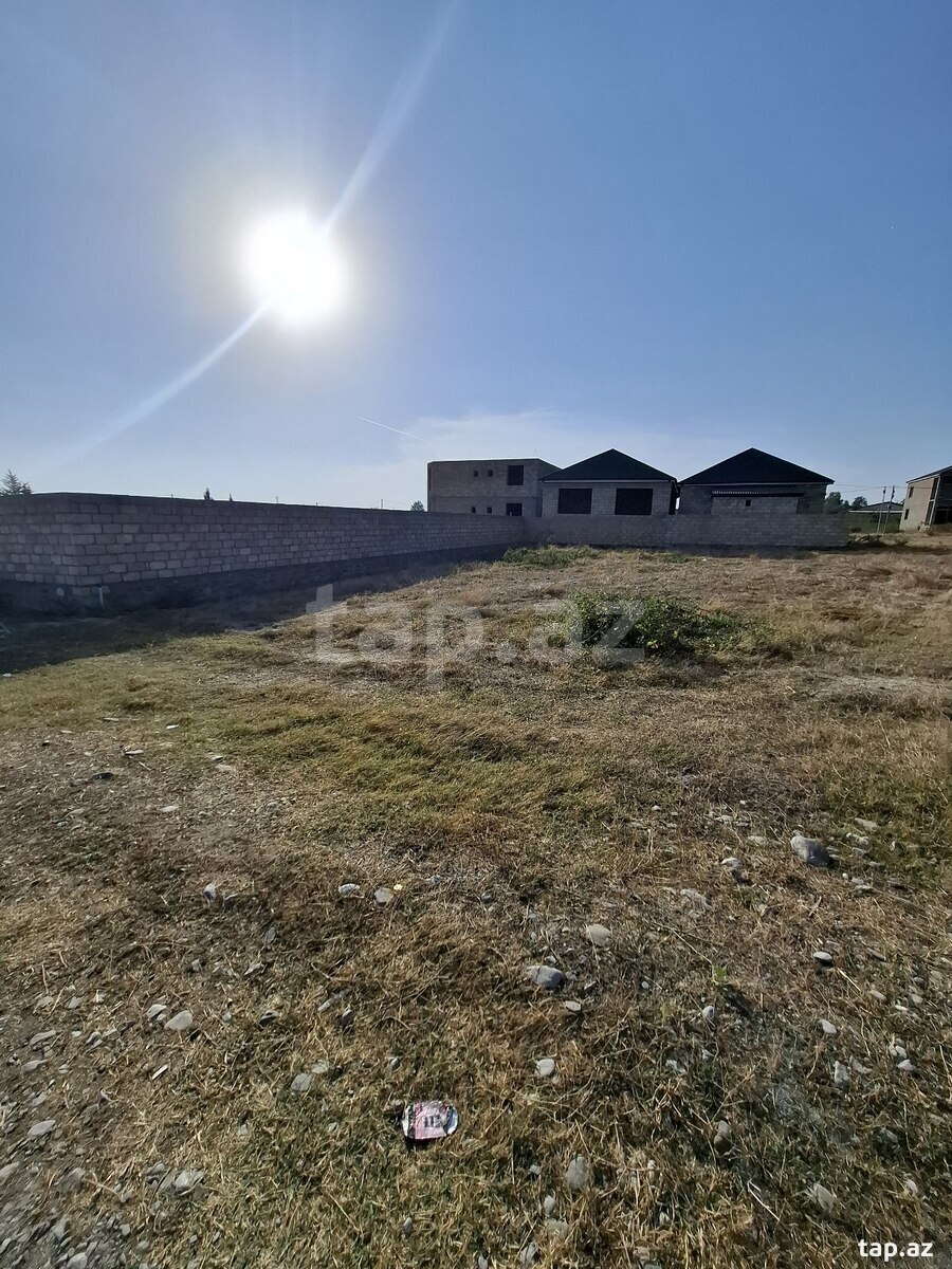 Torpaq satılır, Şəki