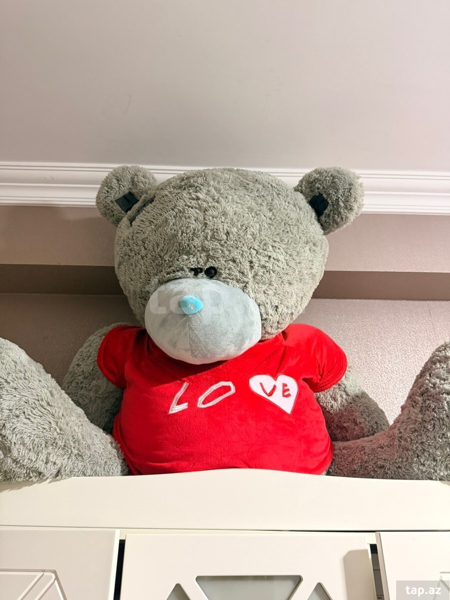 Oyuncaq ayı "Teddy"