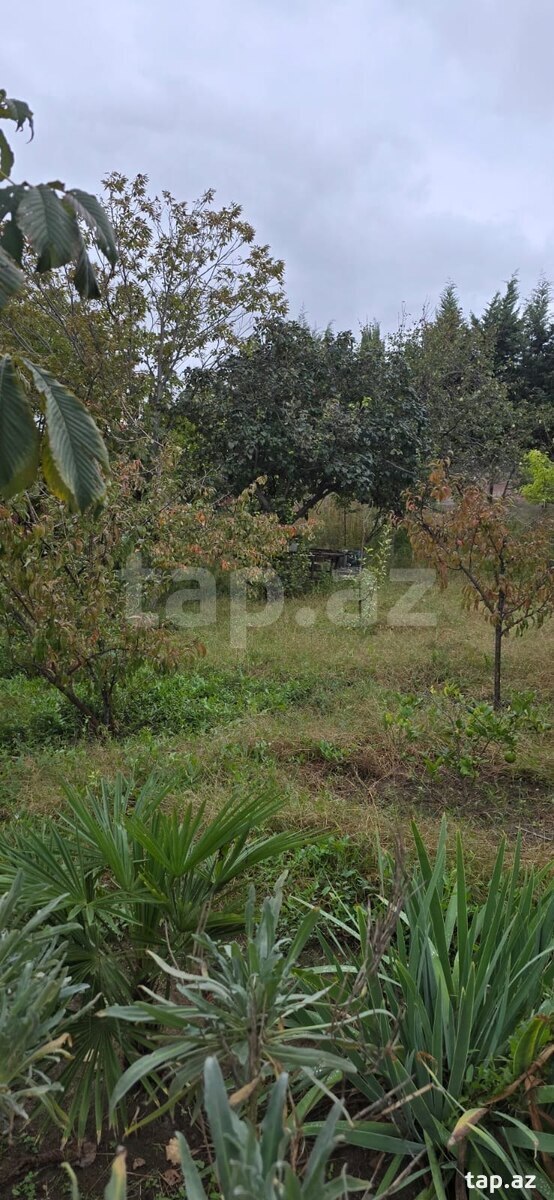 Land for sale, Baku