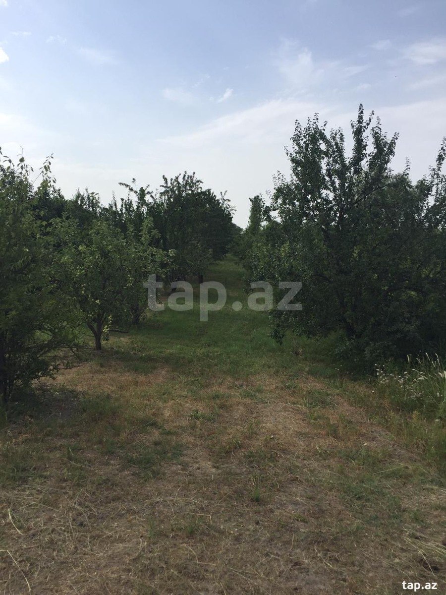 Torpaq satılır, Gödəkli, Xaçmaz