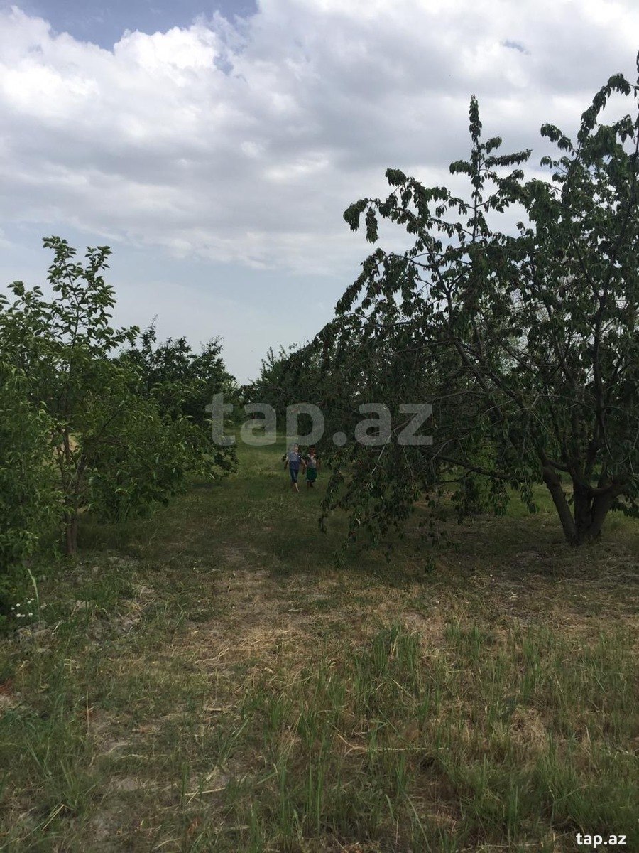 Torpaq satılır, Gödəkli, Xaçmaz