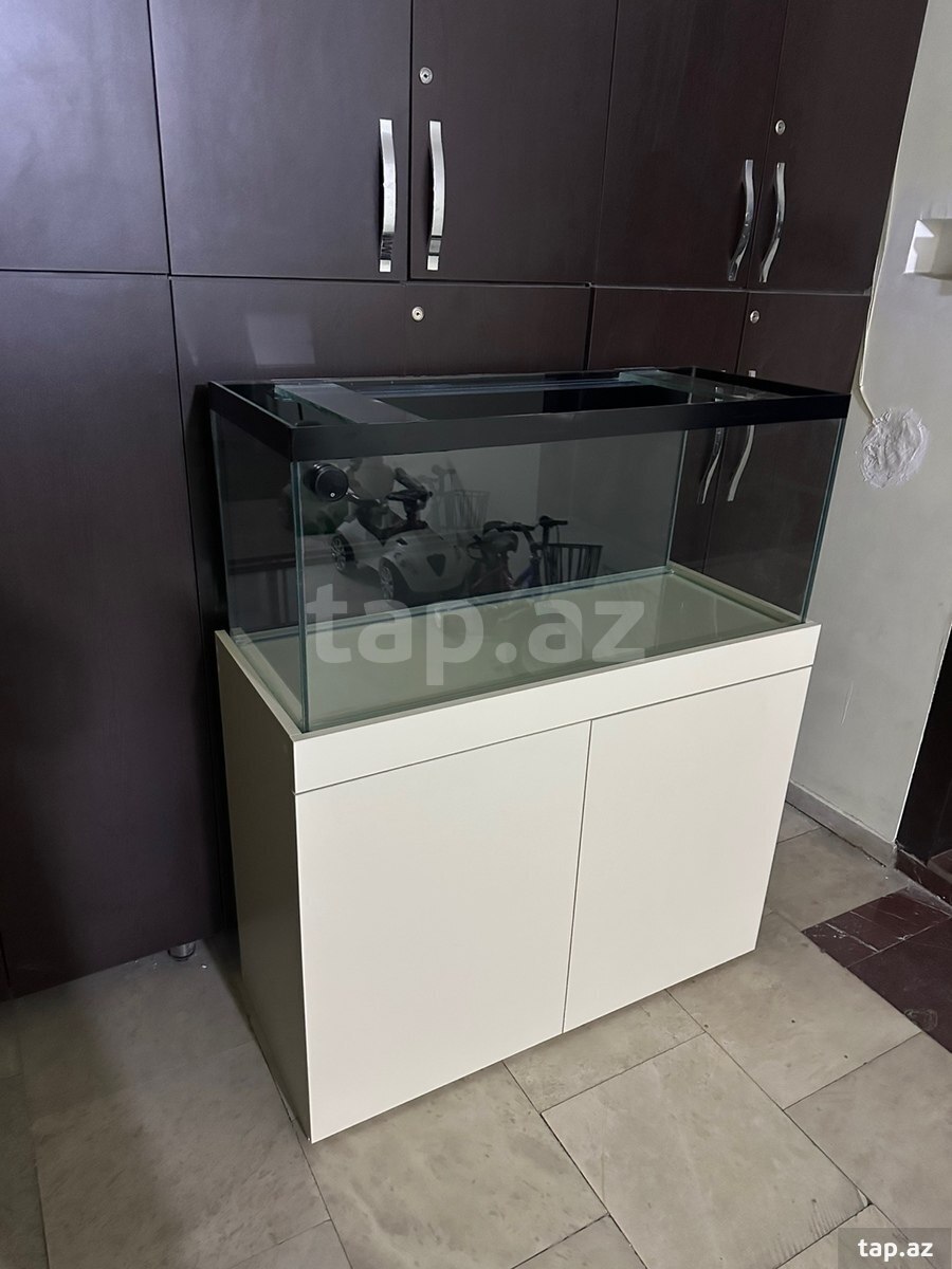 Akvarium və dolab