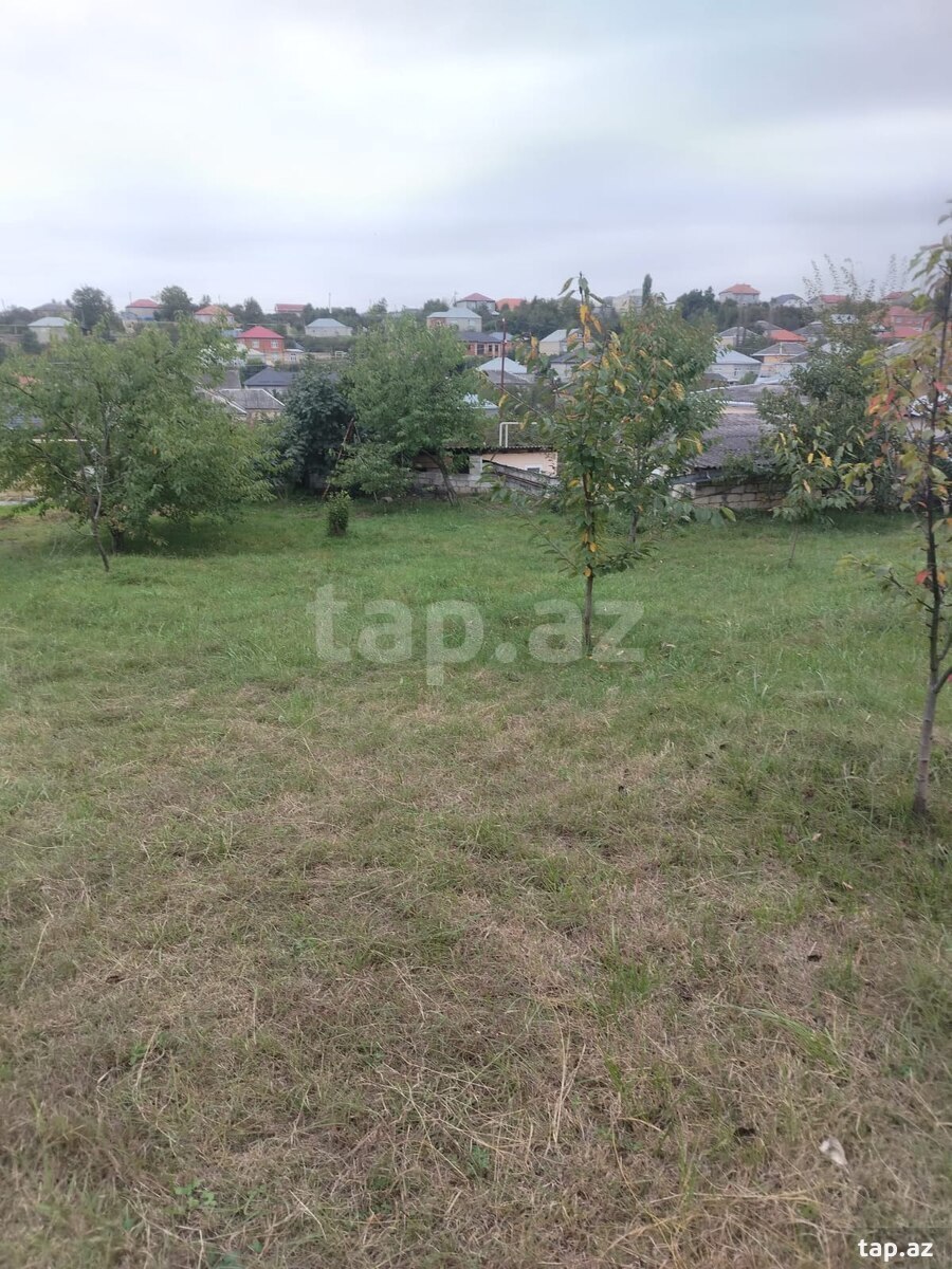 Torpaq satılır, Quba