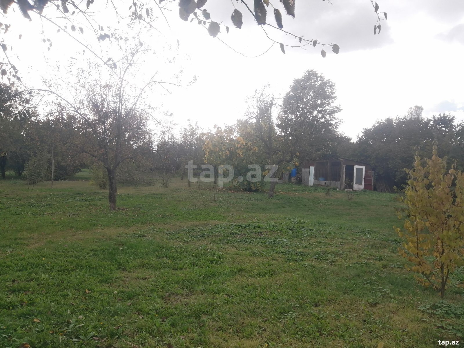 Land for sale, Ismayilli, Ismayilli