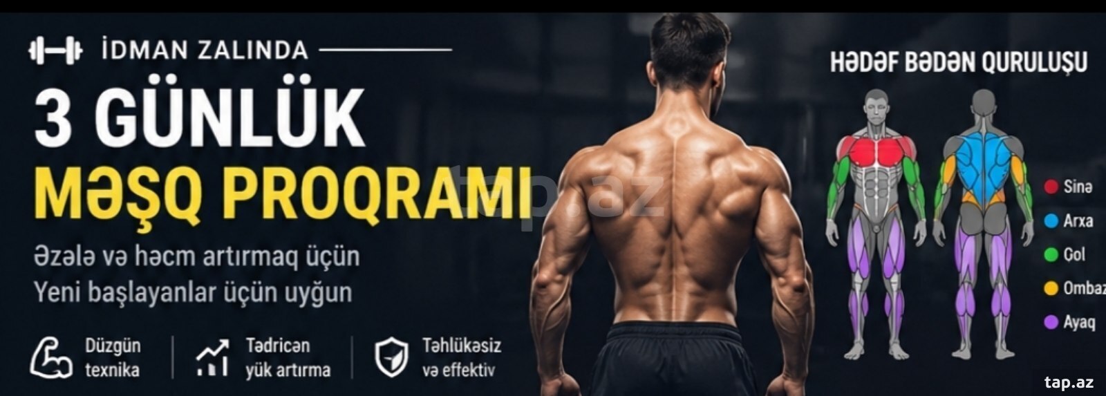 Məşq proqramı