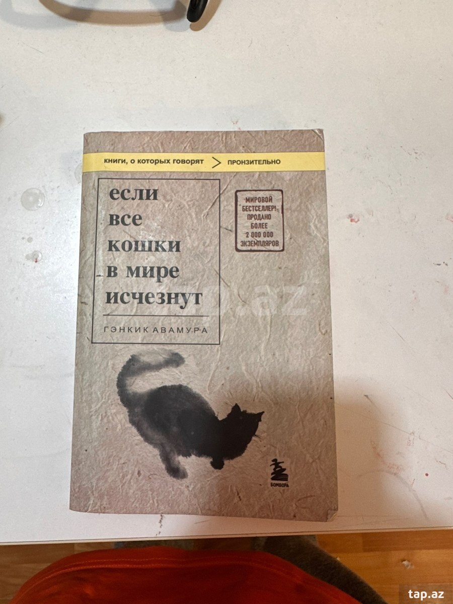 Книга - Если все кошки в мире исчезнут