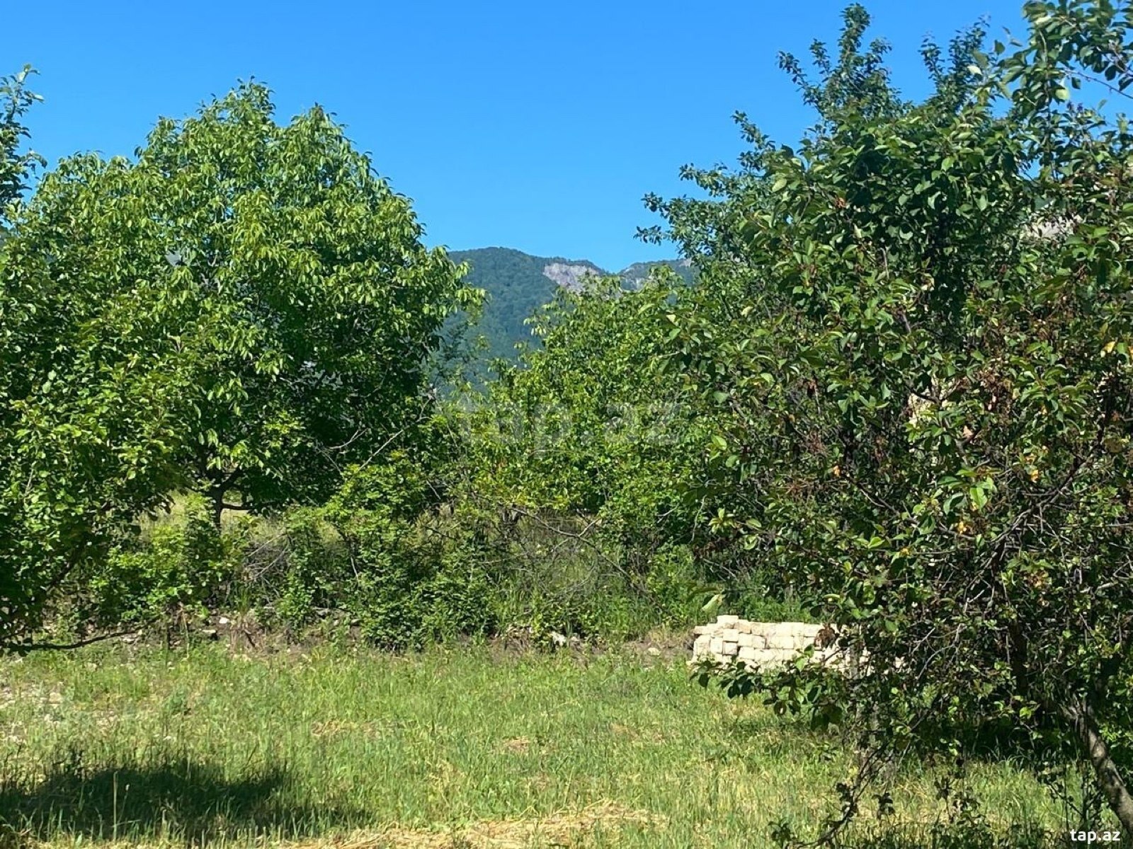 Land for sale, Ismayilli, Ismayilli