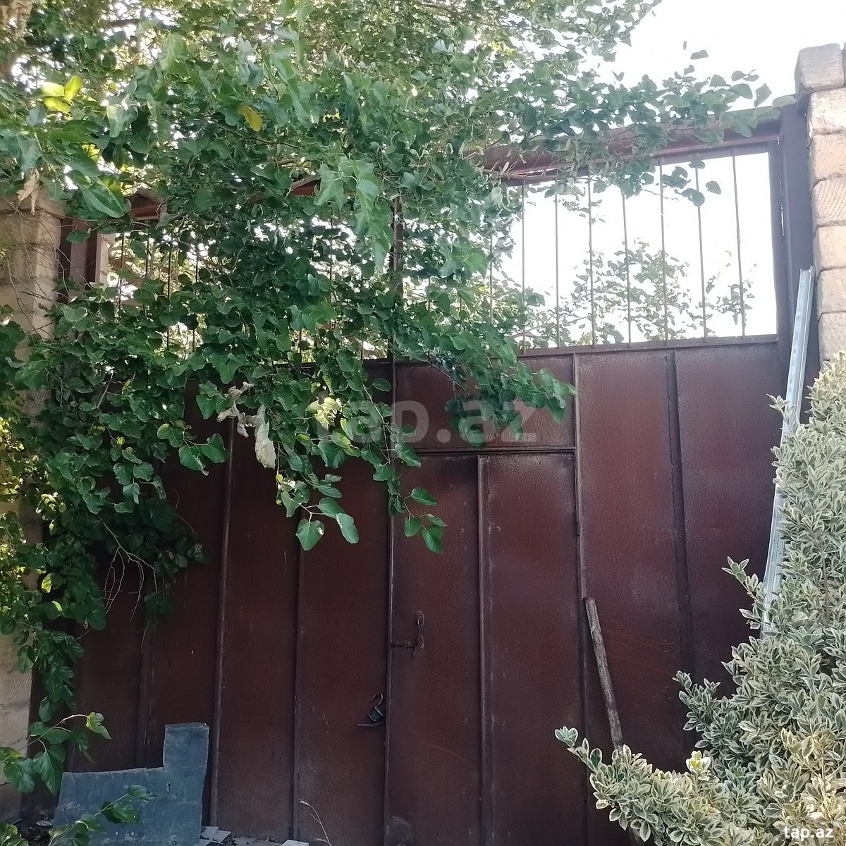 Torpaq satılır, Maştağa, Bakı