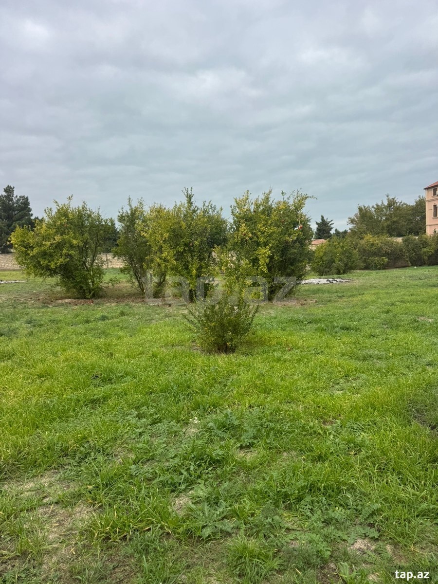Torpaq satılır, Bakı