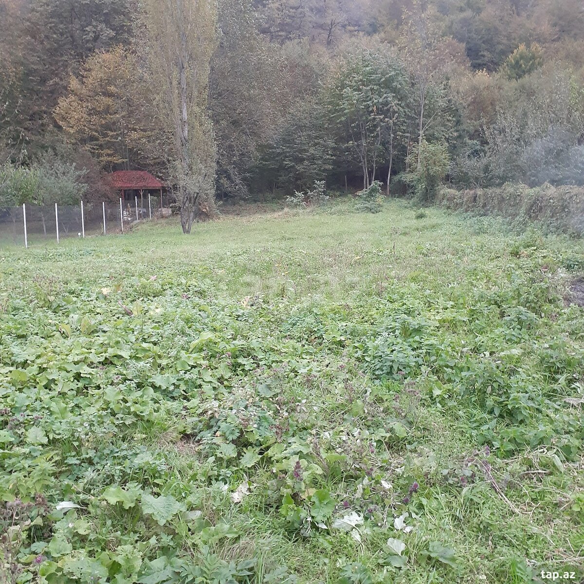 Torpaq satılır, Qayakənd, Qusar