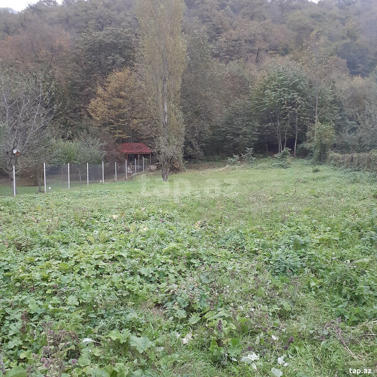 Torpaq satılır, Qayakənd, Qusar
