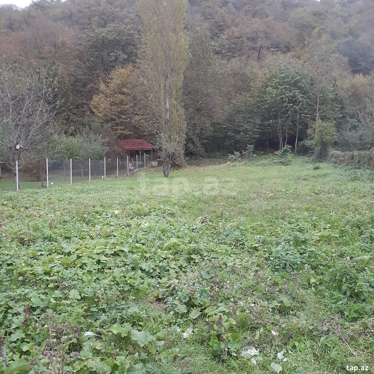Torpaq satılır, Qayakənd, Qusar