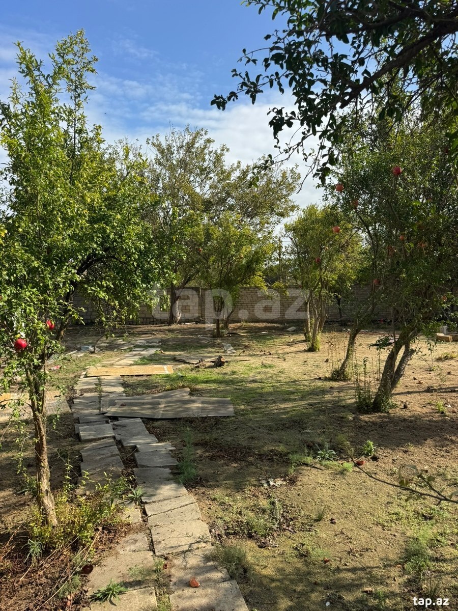 Torpaq satılır, Bakı