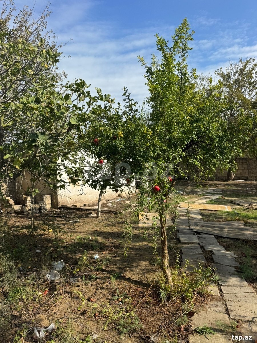 Torpaq satılır, Bakı