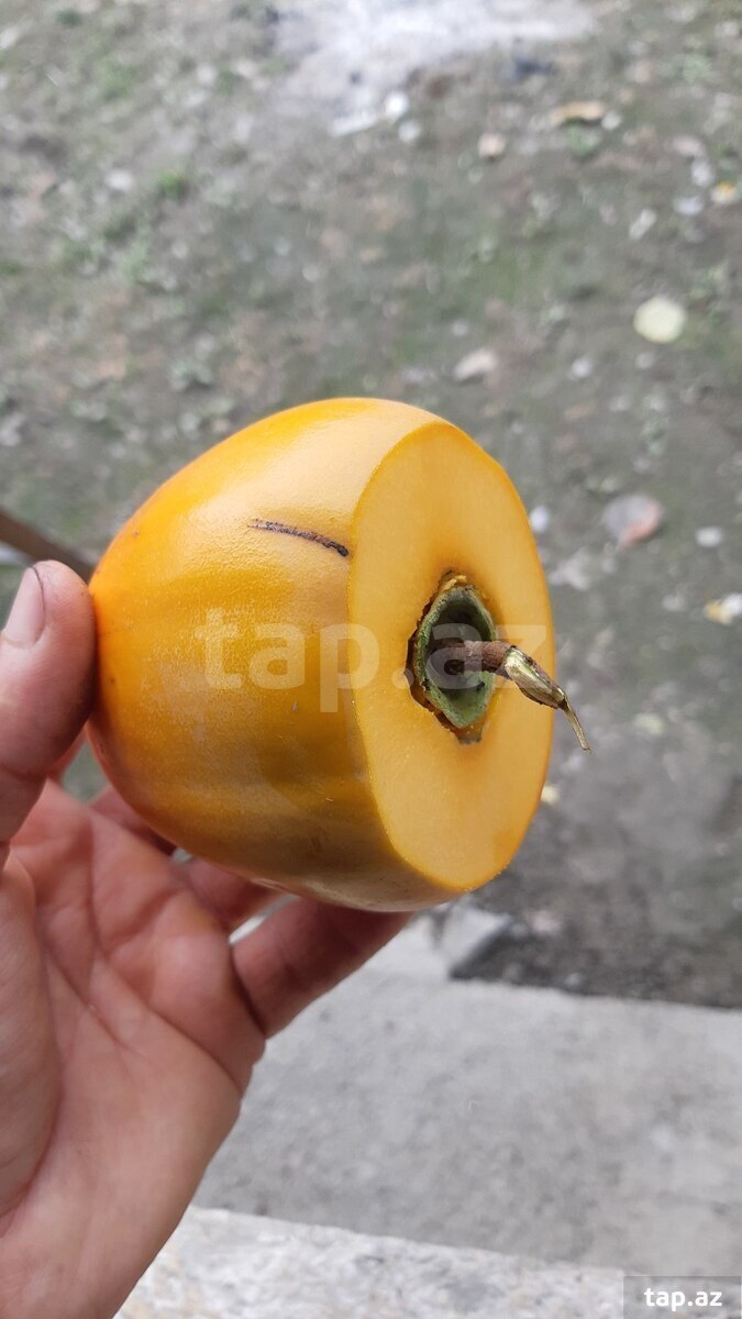 Xurma arxası soyan aparat