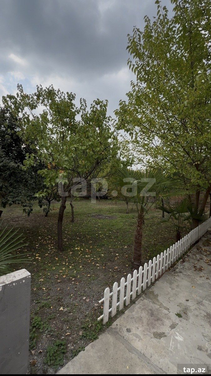 Land for sale, Ismayilli, Ismayilli