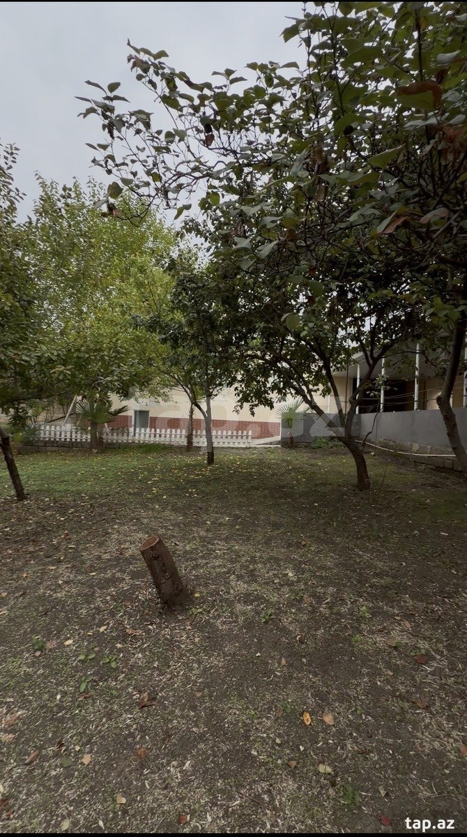 Land for sale, Ismayilli, Ismayilli
