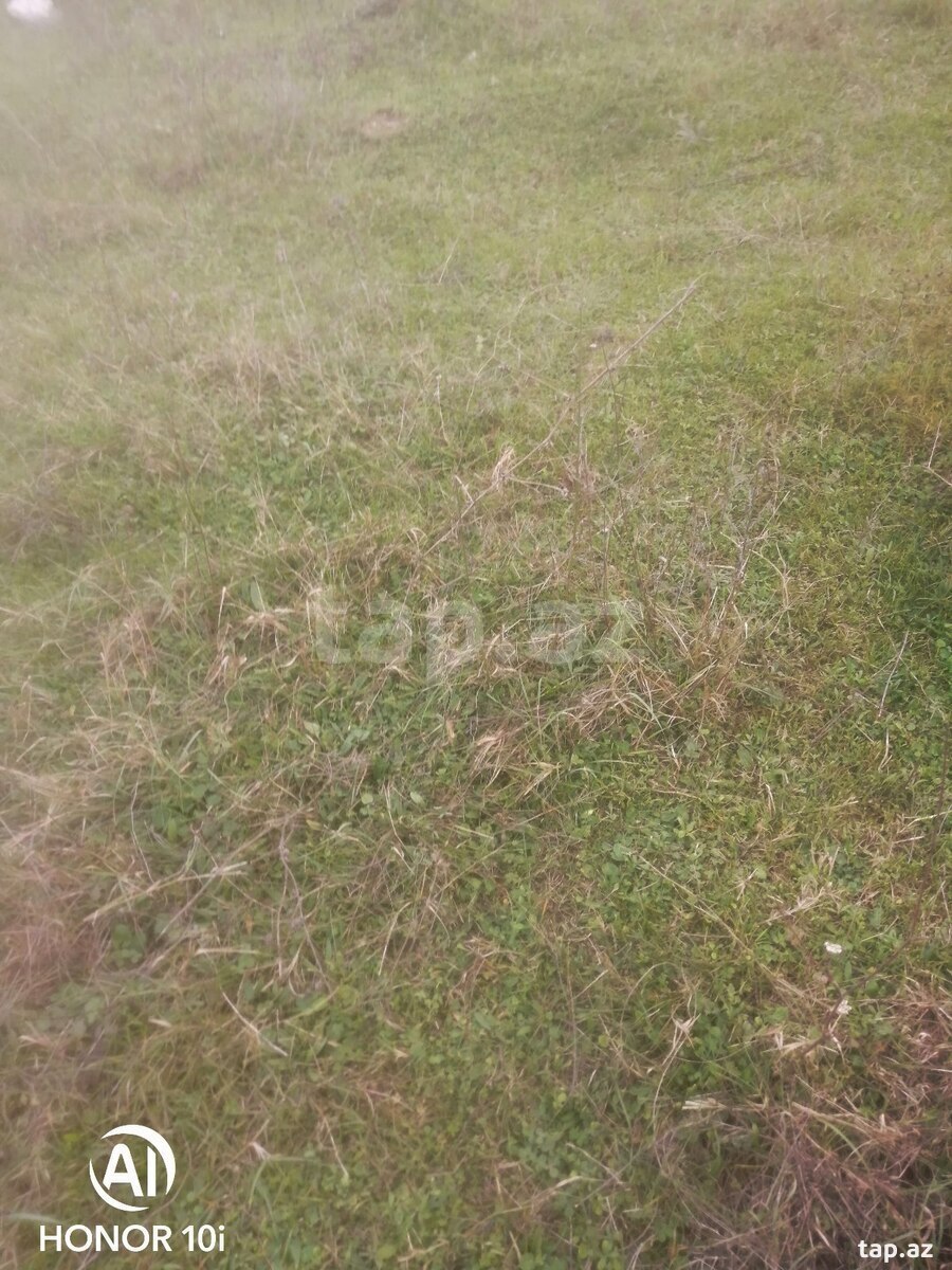 Torpaq satılır, Quba