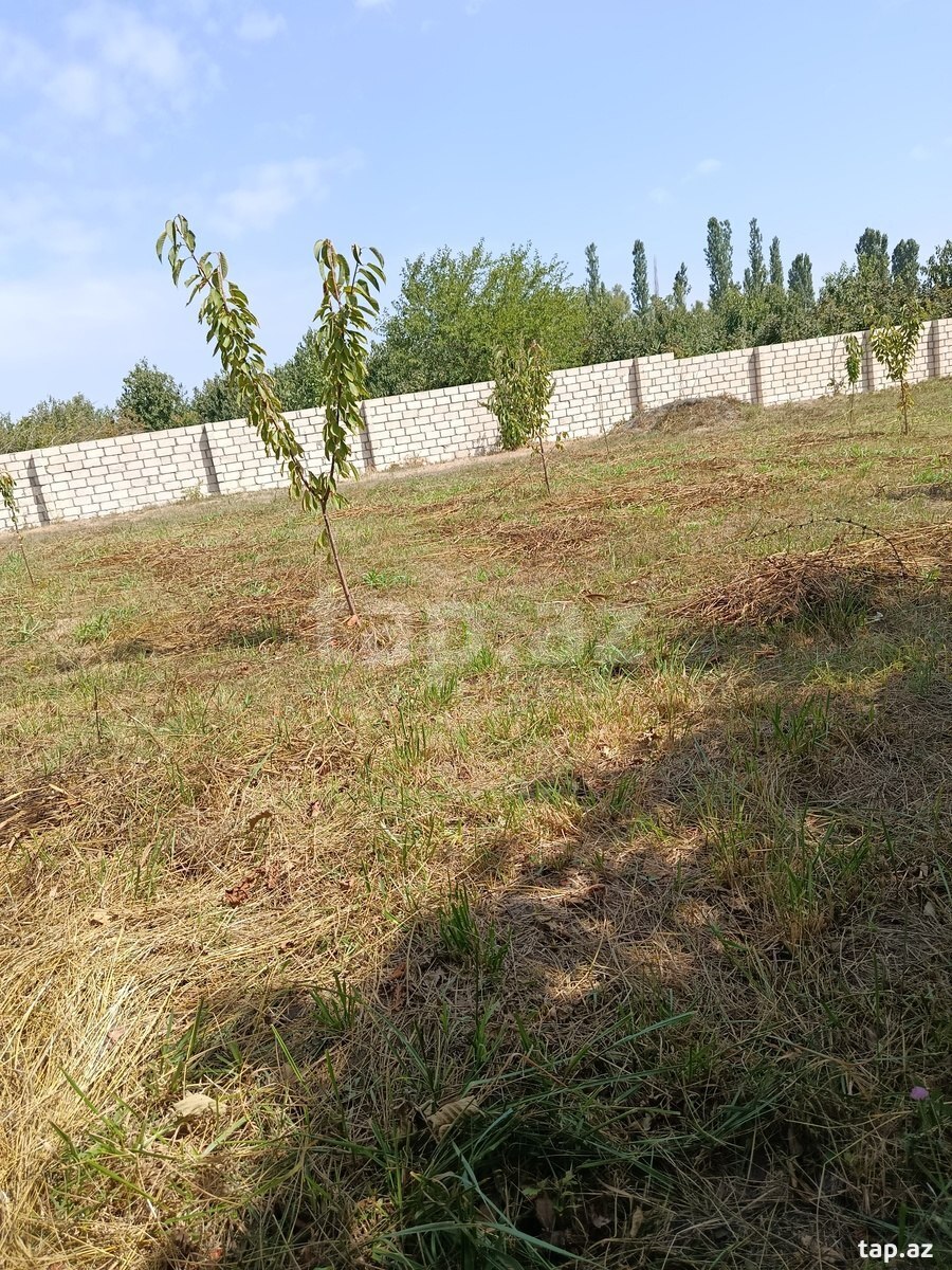 Земельный участок на продажу, Баку