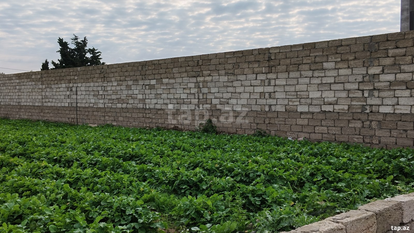Land for sale, Buzovna, Baku