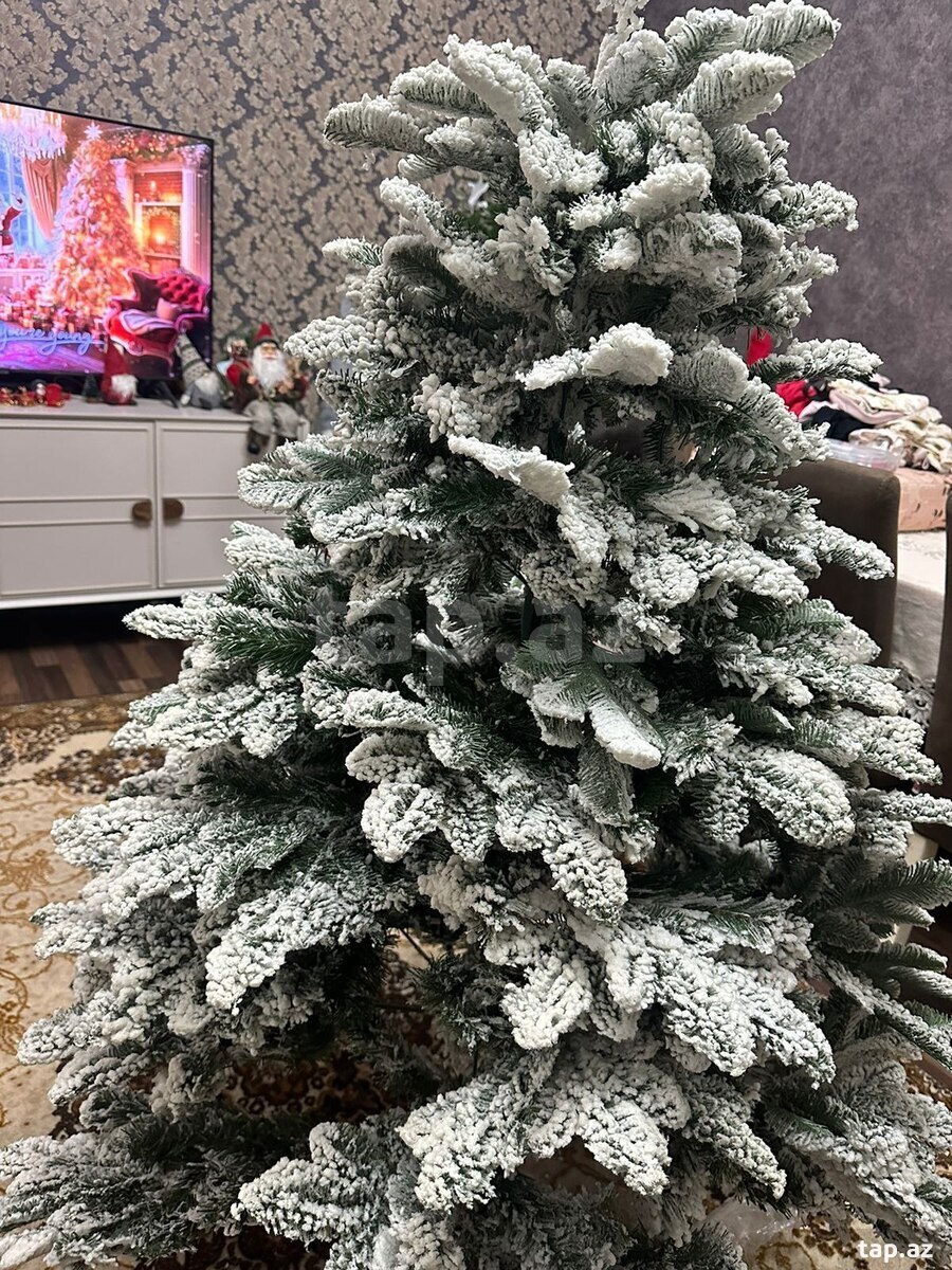 Yeni il ağacı