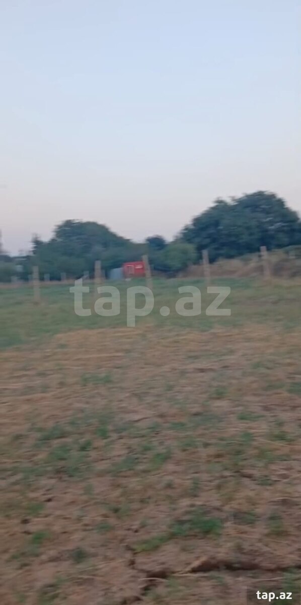 Land for sale, Ivanovka, Ismayilli