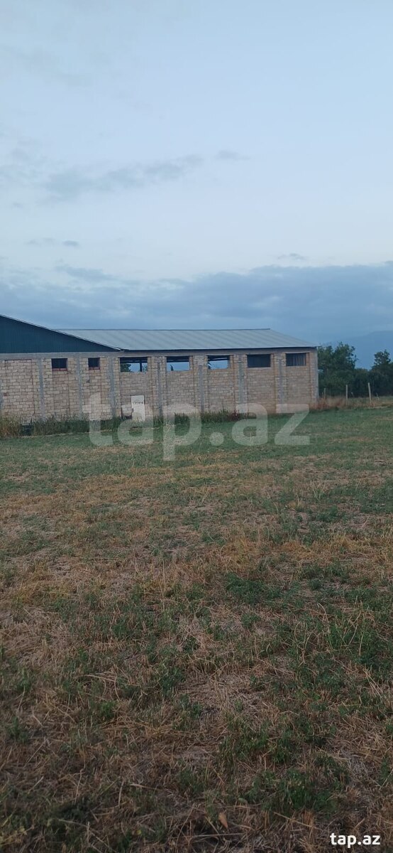 Land for sale, Ivanovka, Ismayilli