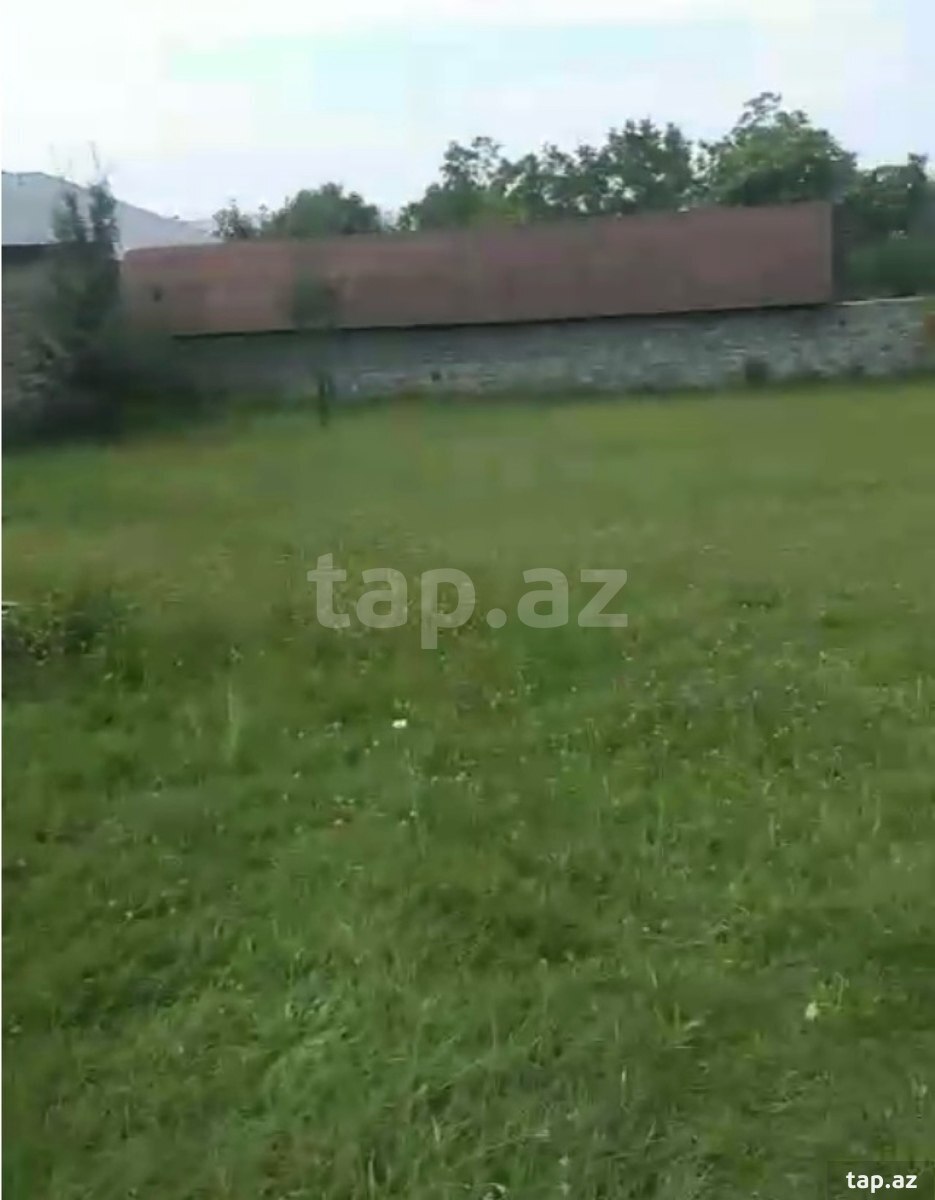 Torpaq satılır, Şəki
