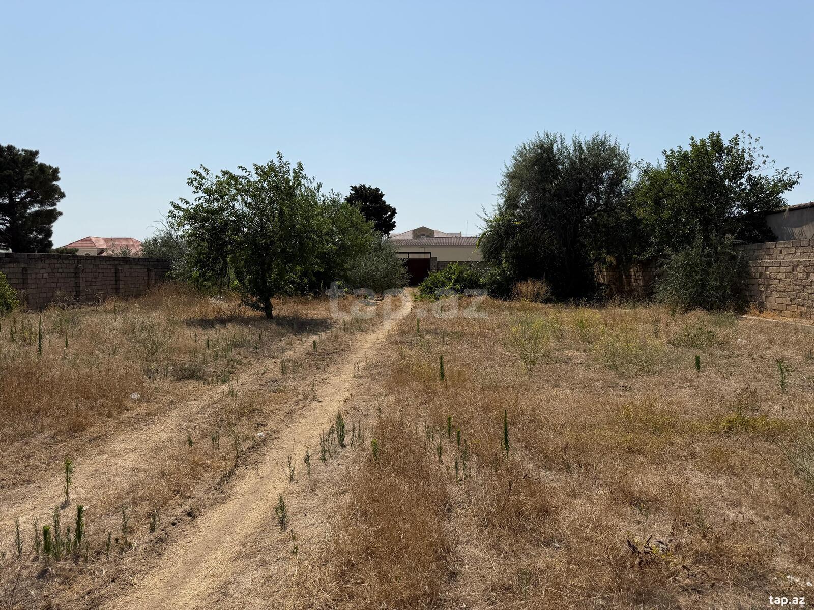 Torpaq satılır, Buzovna, Bakı
