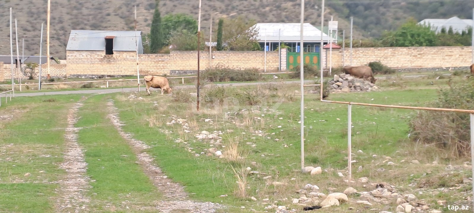 Torpaq satılır, Şəki