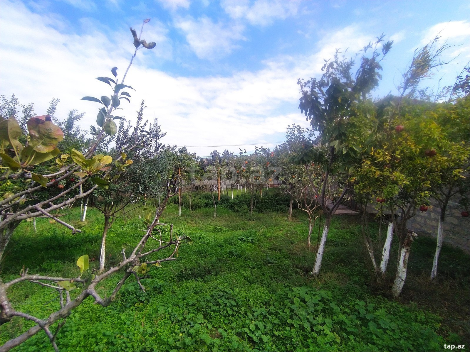 Torpaq satılır, Zabrat 1, Bakı