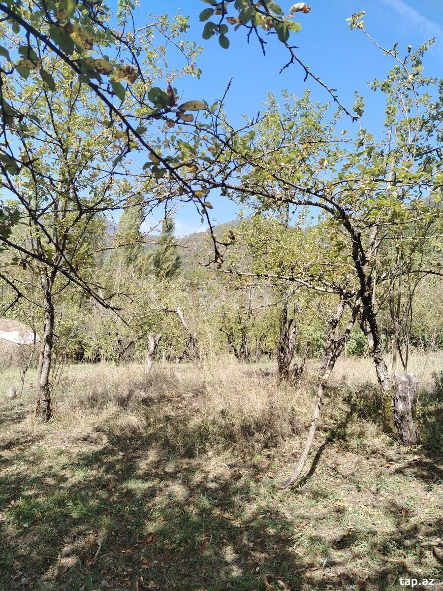 Земельный участок на продажу, Габала, Габала