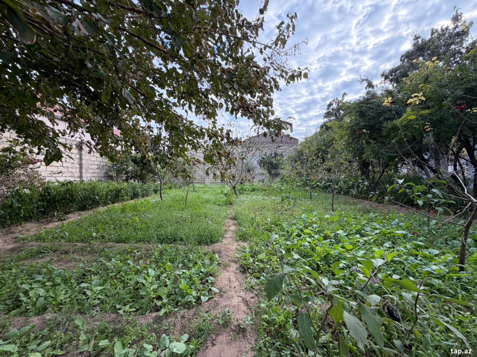 Land for sale, Buzovna, Baku