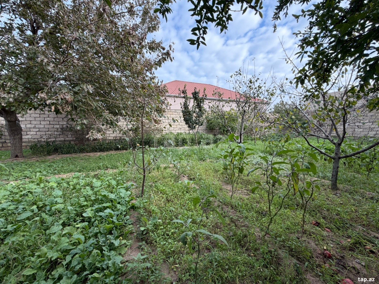 Land for sale, Buzovna, Baku
