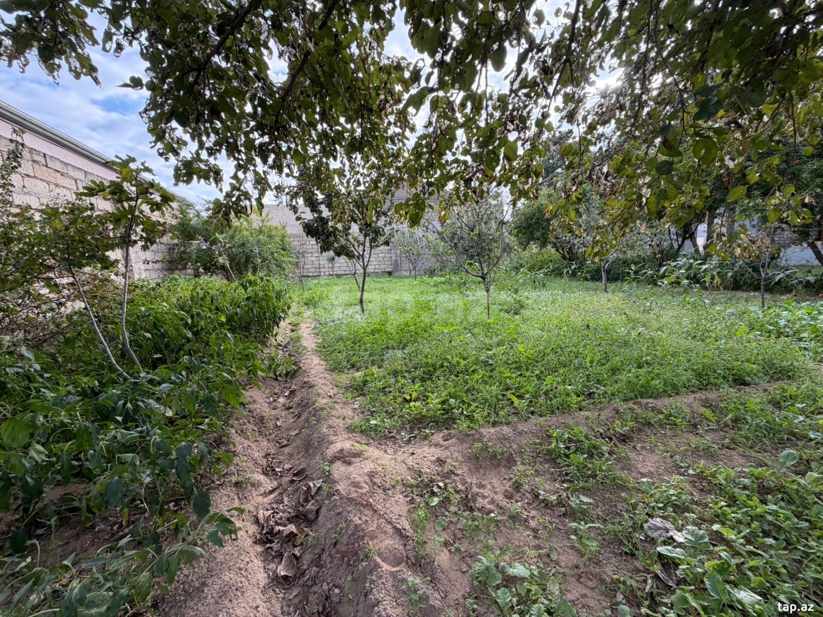 Land for sale, Buzovna, Baku