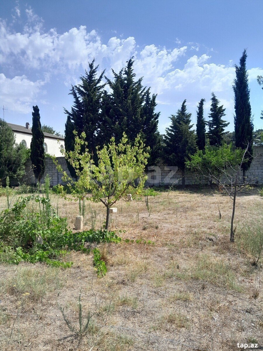 Torpaq satılır, Bakı