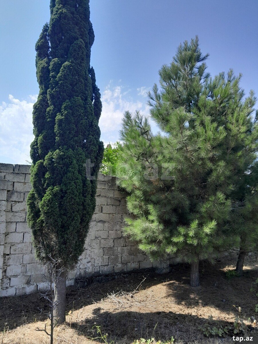Torpaq satılır, Bakı