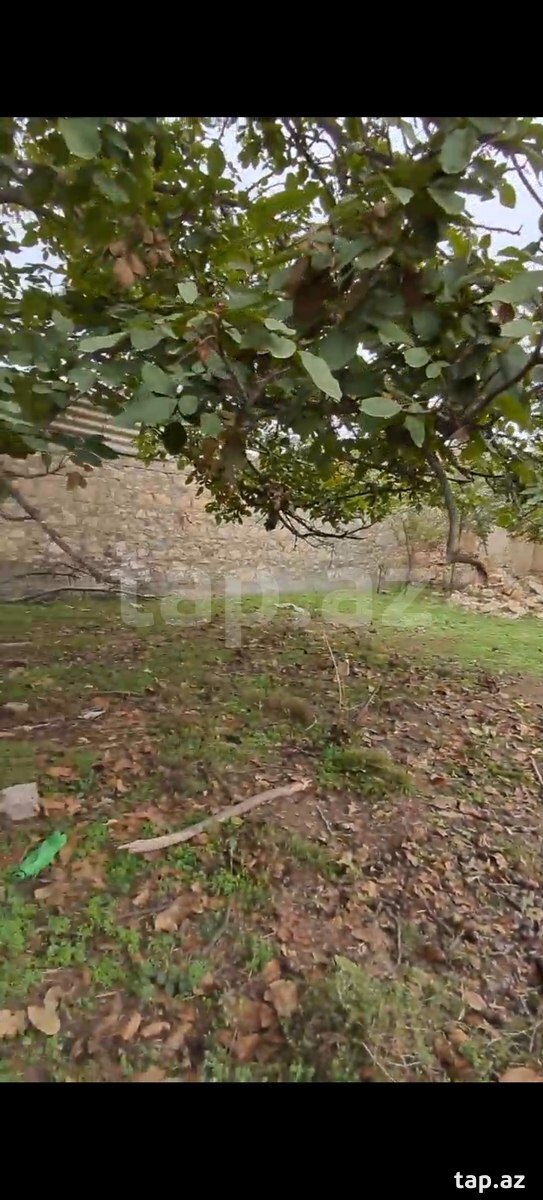Land for sale, Ganja