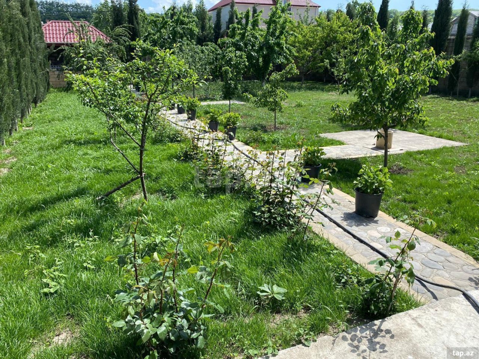 10 otaqlı bağ evi satılır, Quba